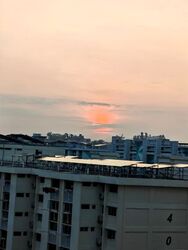 Blk 430A Bedok North Woods (Bedok), HDB 3 Rooms #573177851